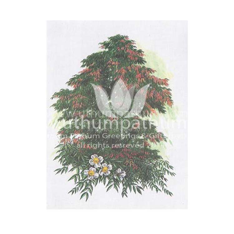 https://www.uthumpathum.com/Season's Greetings